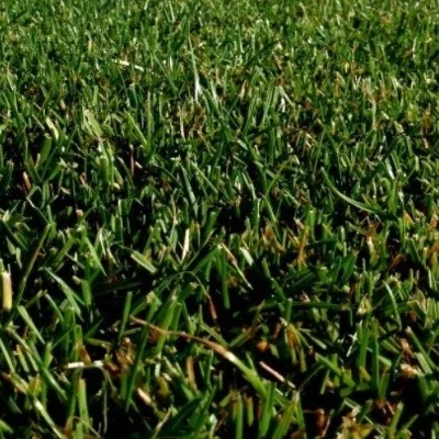 classic cesped zulueta