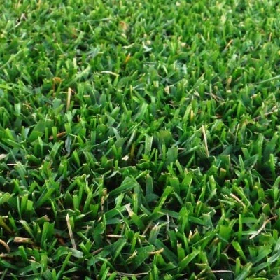 highland cesped zulueta