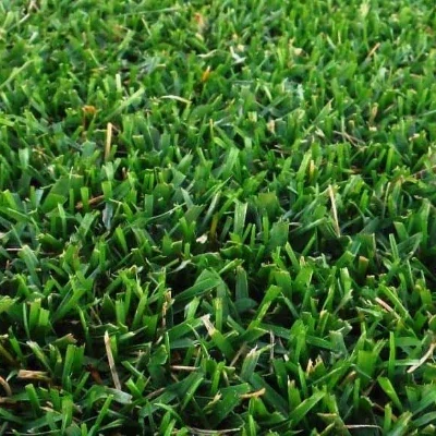 midland cesped zulueta