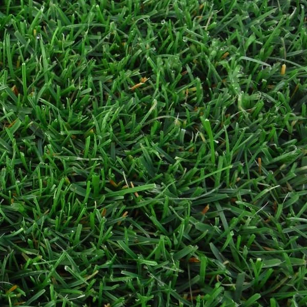 supercopa cesped zulueta