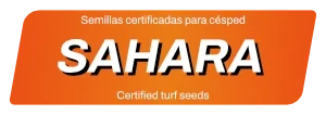 zulueta forma productos sahara