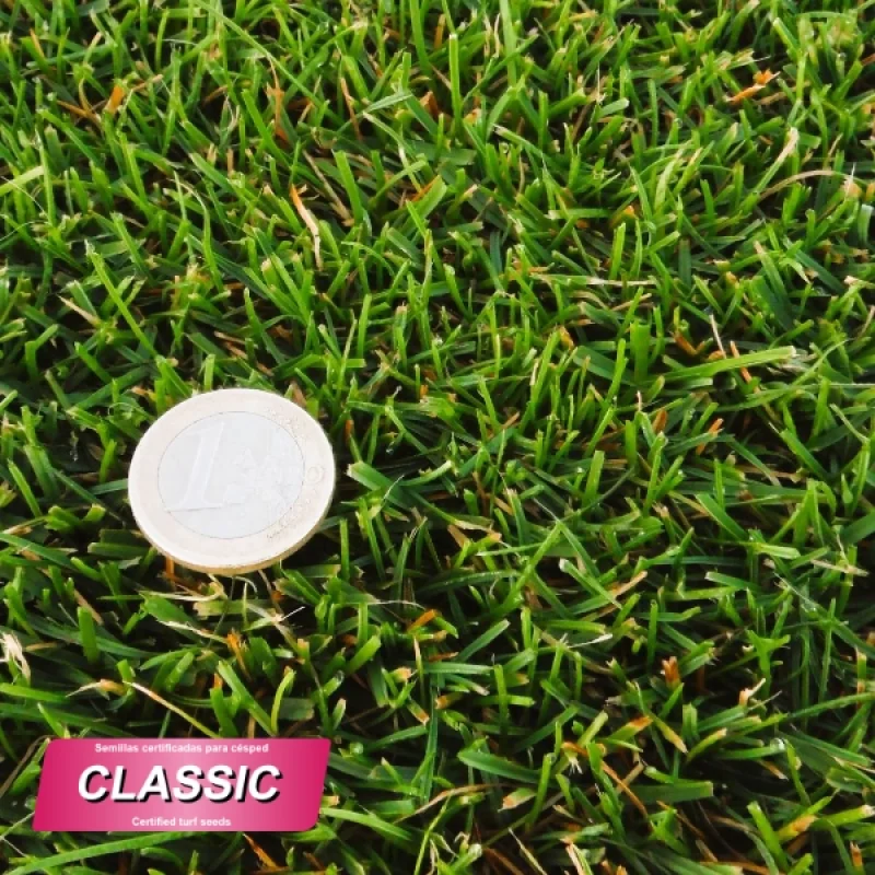detalle producto mezcla semillas classic