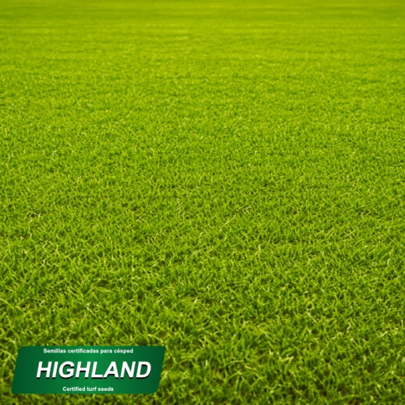 detalle producto mezcla semillas highland