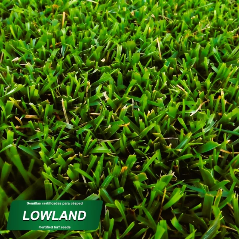detalle producto mezcla semillas lowland