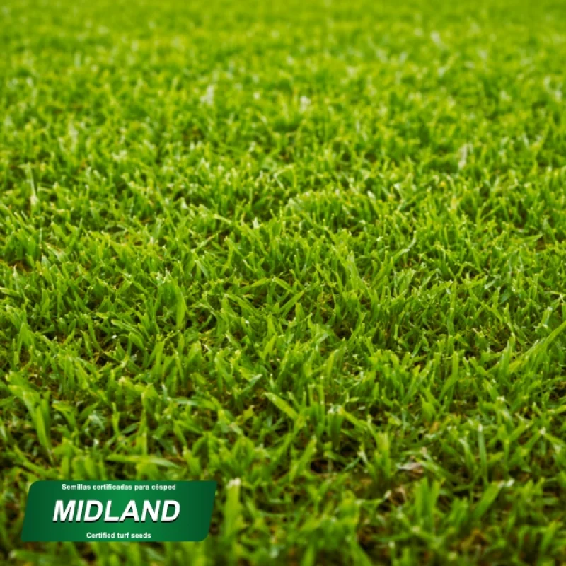 detalle producto mezcla semillas midland