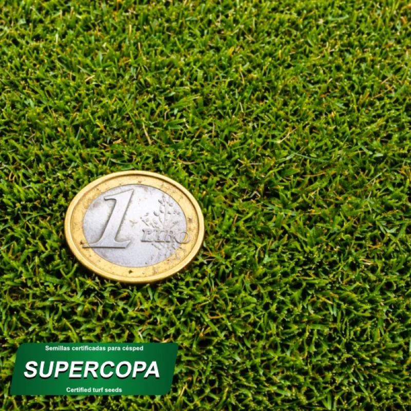 detalle producto mezcla semillas supercopa 2